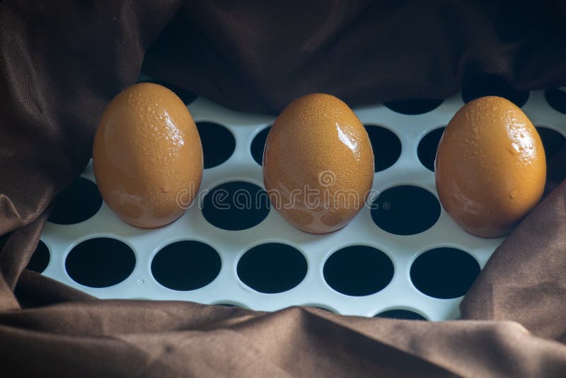 Raw Eggs Materials photo stock image. Image of ingredient 185108023