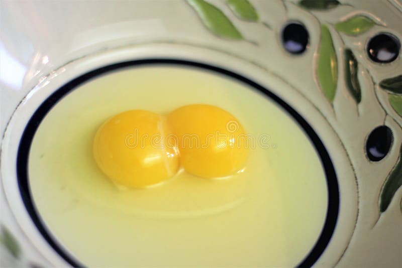 Raw Eggs with Yolks and Whites in a Bowl Stock Image Image of