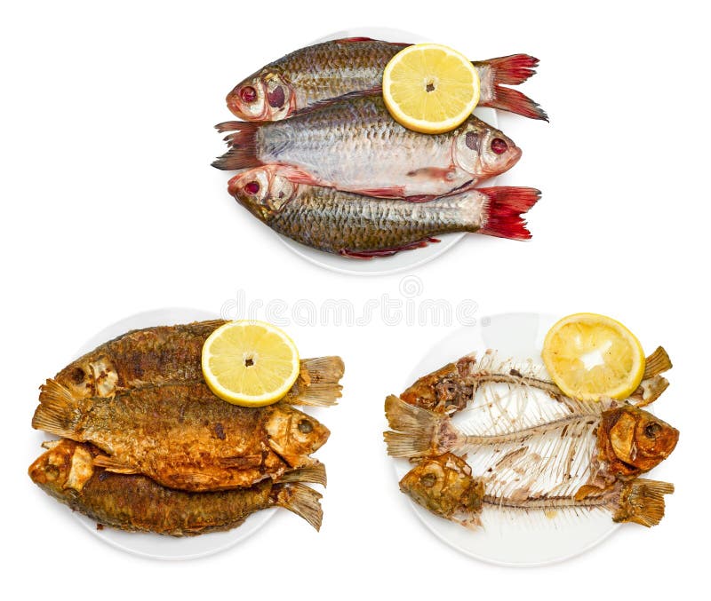 Raw Fish, Fried Fish, Bones Of Fish On Plate Stock Photo Image of