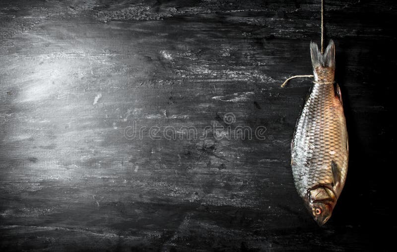 Raw Fish Hanging on a Rope. Stock Image Image of background, meal 76586783