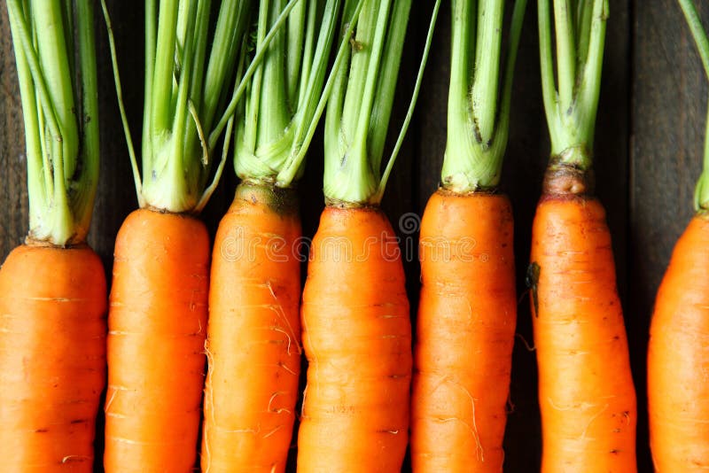 Raw fresh carrots with tails