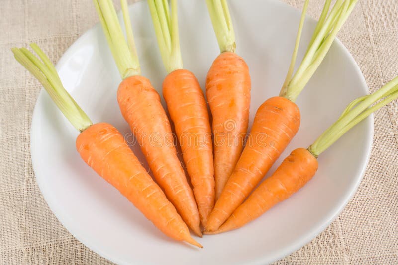 Raw Fresh Carrots on White Plate Stock Photo Image of color, nature