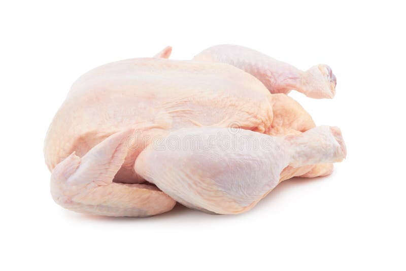 Raw fresh chicken