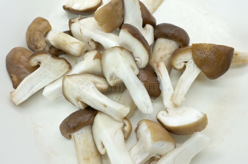 Raw fresh chopped mushroom stock photo. Image of pieces 58370282