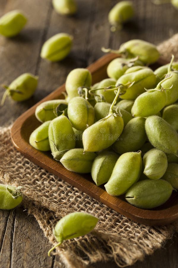 Fresh Garbanzo Beans stock image. Image of beans, hispanic 13786311