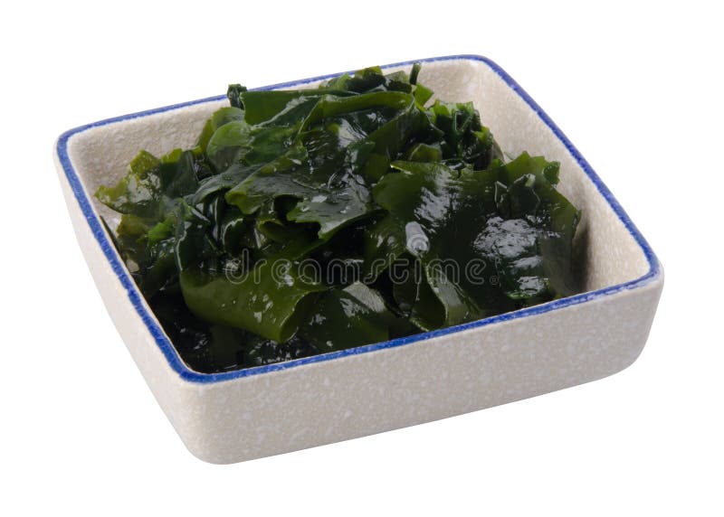 Raw Fresh Seaweed In White Plate Stock Image Image of culinary