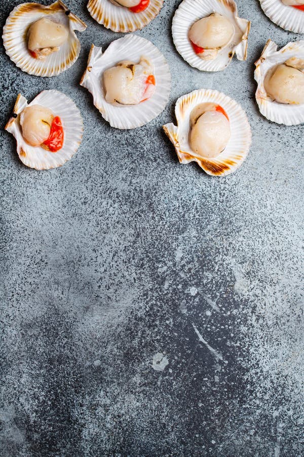 Raw Fresh Uncooked Scallops Stock Image Image of organic, simple