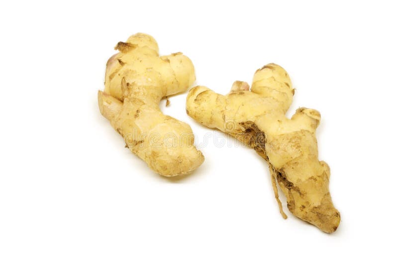 Raw Ginger Root Isolate on White Background. Stock Photo Image of