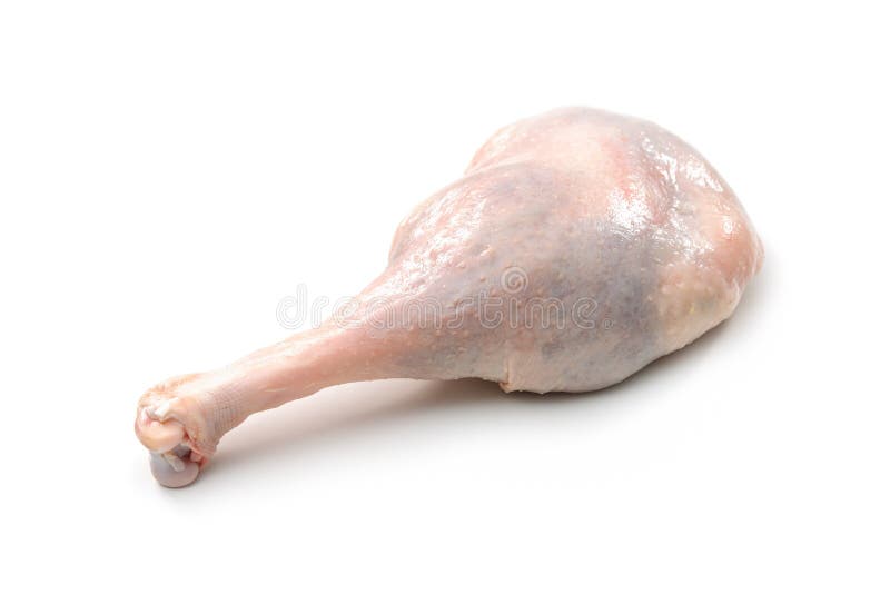 Raw goose leg stock image. Image of food, uncooked, spice 17816807
