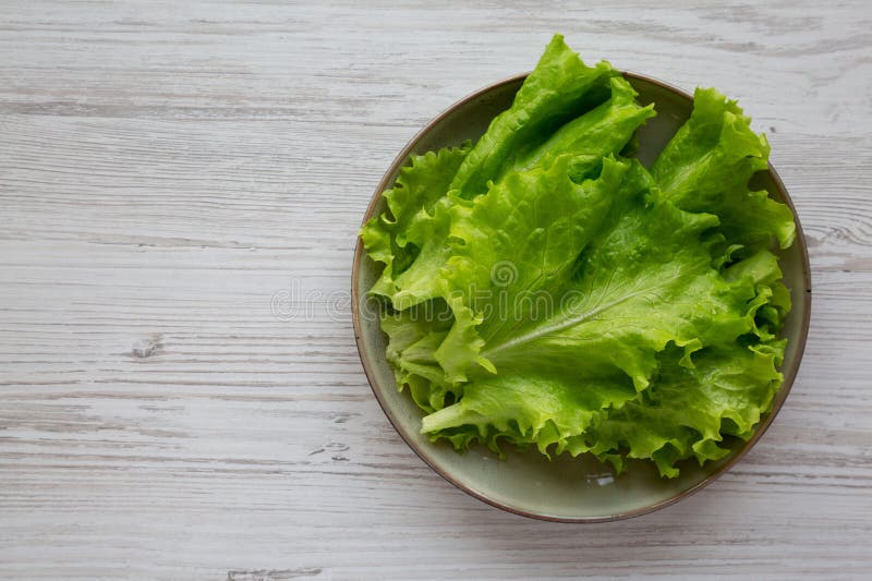 Raw Green Leaf Lettuce on a Plate, Top View. Space for Text Stock Image
