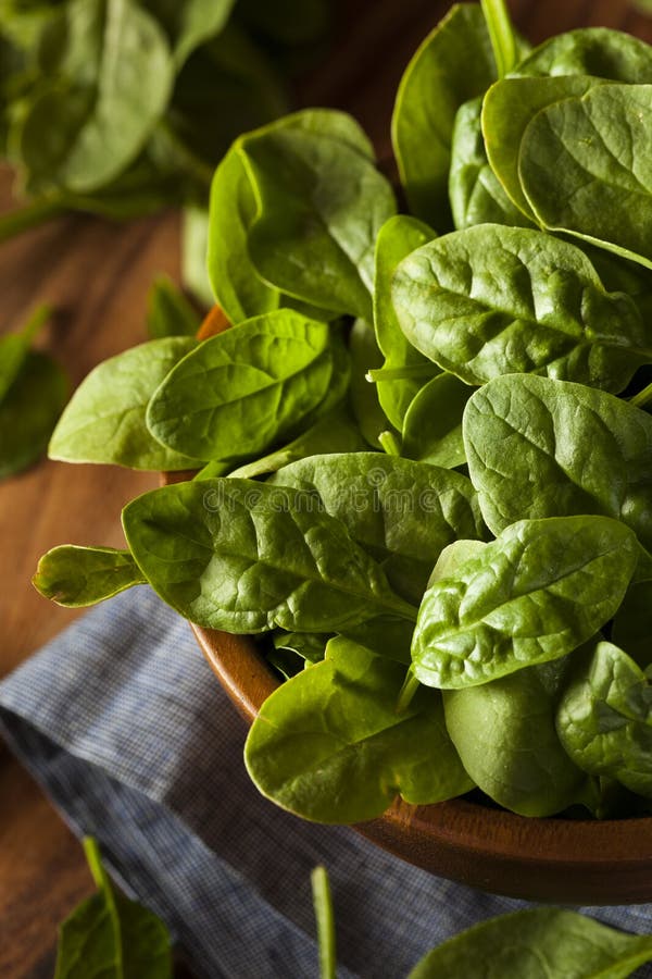 Fresh Organic Baby Spinach Background or Texture. Raw Food. Stock Photo