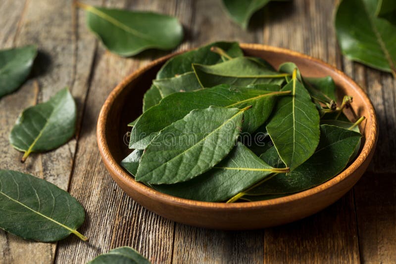 Raw Green Organic Bay Leaves Stock Image Image of eating, background