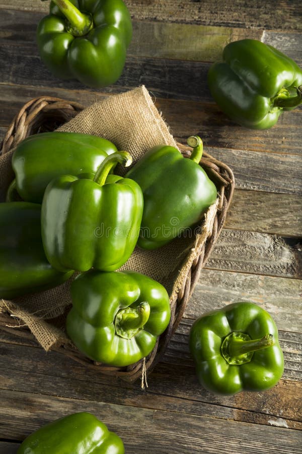 Raw Green Organic Bell Peppers Stock Photo Image of paprika