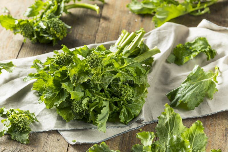 Raw Green Organic Broccoli Rabe Stock Photo Image of rappini, green 114355548