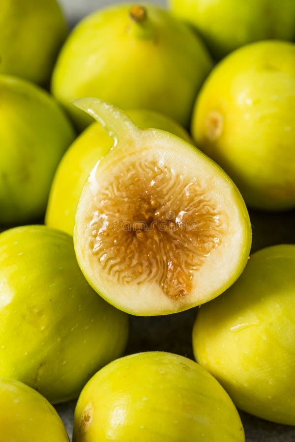 Raw Green Organic Figs stock image. Image of ripe, freshness 255374191