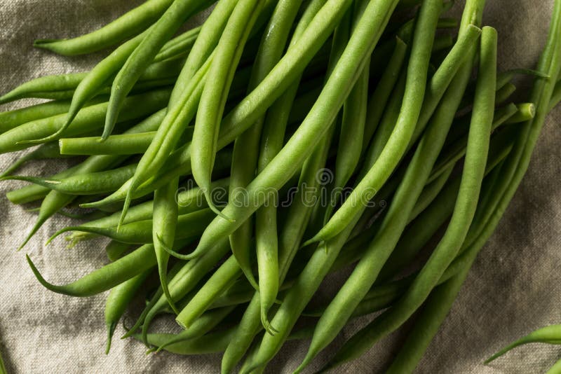 Raw Green Organic French String Beans Stock Photo - Image of green ...