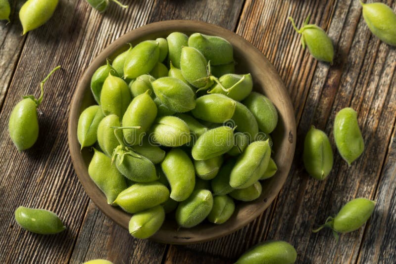 406 Raw Fresh Organic Green Garbanzo Beans Stock Photos Free