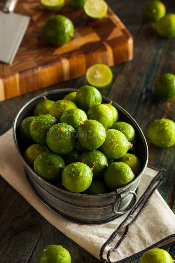 Raw Green Organic Key Limes Stock Image Image of sour, plant 61494263