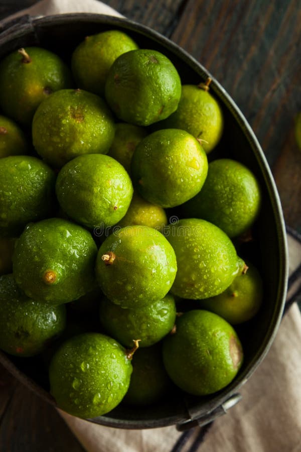Raw Green Organic Key Limes Stock Image Image of healthy, small 61494545