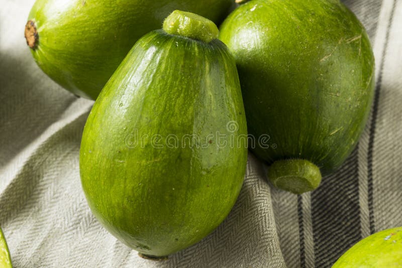Raw Green Organic Korean Squash Stock Image Image of plant, korean