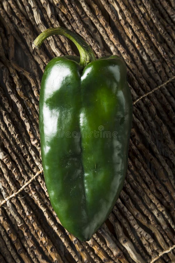 Raw Green Organic Poblano Peppers Stock Photo Image of pepper, chilli