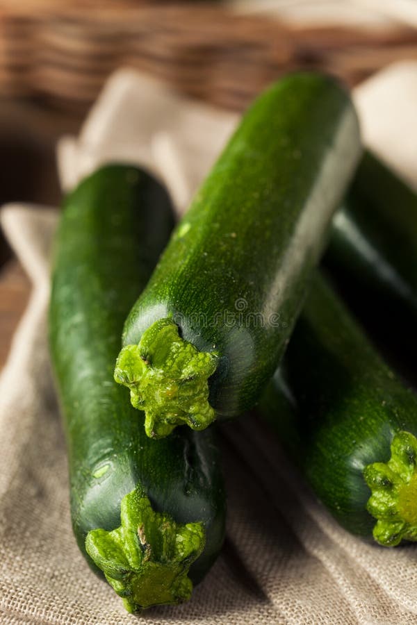 Raw Green Organic Zucchini Squash Stock Photo Image of phallic