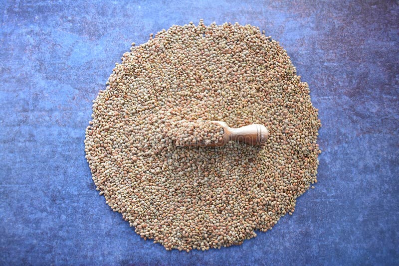 Raw Horse gram stock photo. Image of feed, diet, dish 206223380