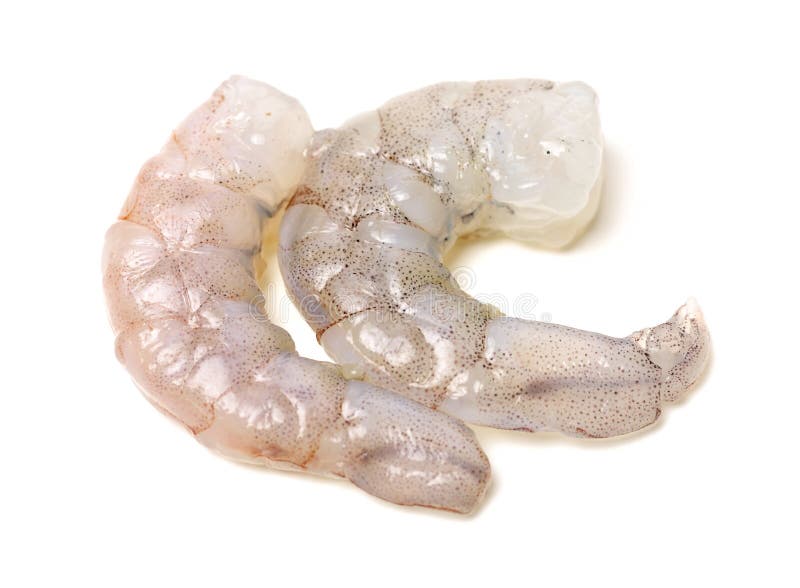 Raw Jumbo Shrimp stock photo. Image of crustacean, jumbo 141350740