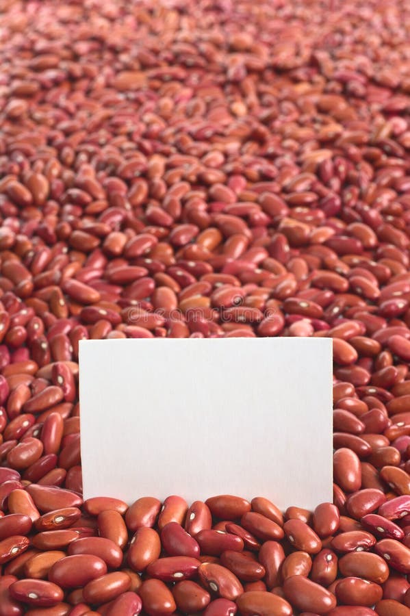 Raw Kidney Beans stock image. Image of pulse, dried, food 20038155
