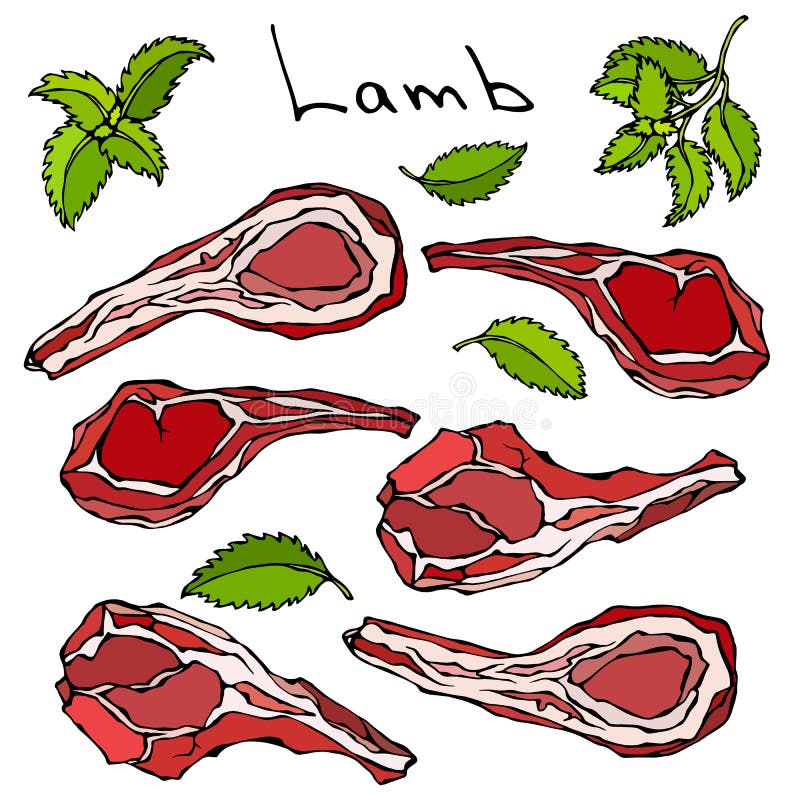 Raw Lamb Chop Ribs Set. Realistic Vector Illustration Isolated Hand Drawn Doodle or Cartoon Style Sketch. Fresh Meat Stock Vector - Illustration of freshness, ingredient: 95124726 Raw Lamb Chop Ribs Set. Realistic Vector Illustration Isolated Hand Drawn Doodle or Cartoon Style Sketch. Fresh Meat Stock Vector - Illustration of freshness, ingredient: 95124726