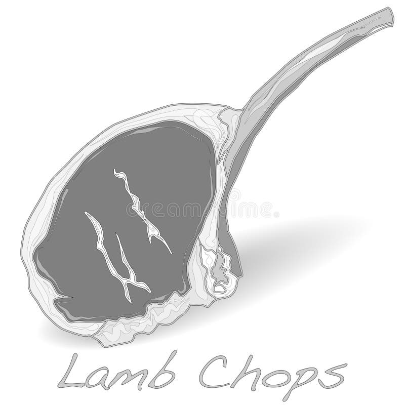 Raw lamb chops vector stock vector. Illustration of white 70961099