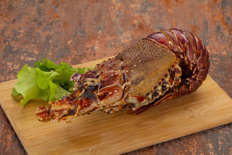 Raw Langust or Tiny Lobster Stock Image Image of black, fresh 181351633