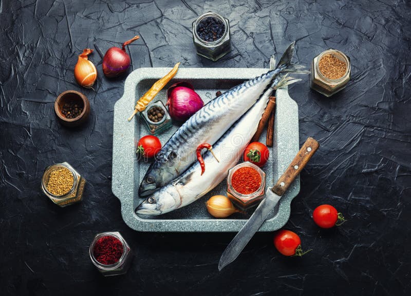 Fresh, raw mackerel fish stock photo. Image of nutrition 265032296