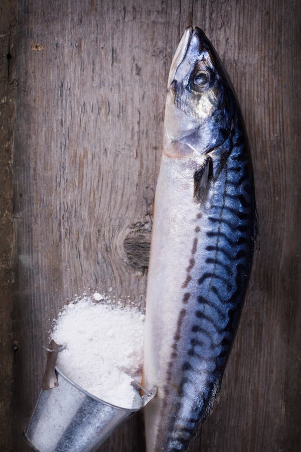 Raw mackerel stock photo. Image of sardine, gourmet, healthy 51058766