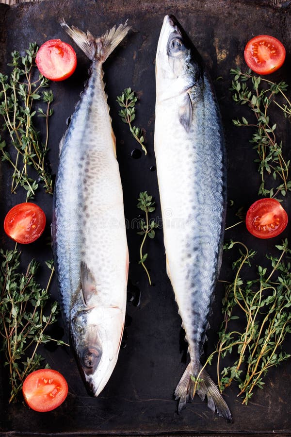 Raw Mackerel Old Black Metallic Oven Tray Stock Photos Free & Royalty