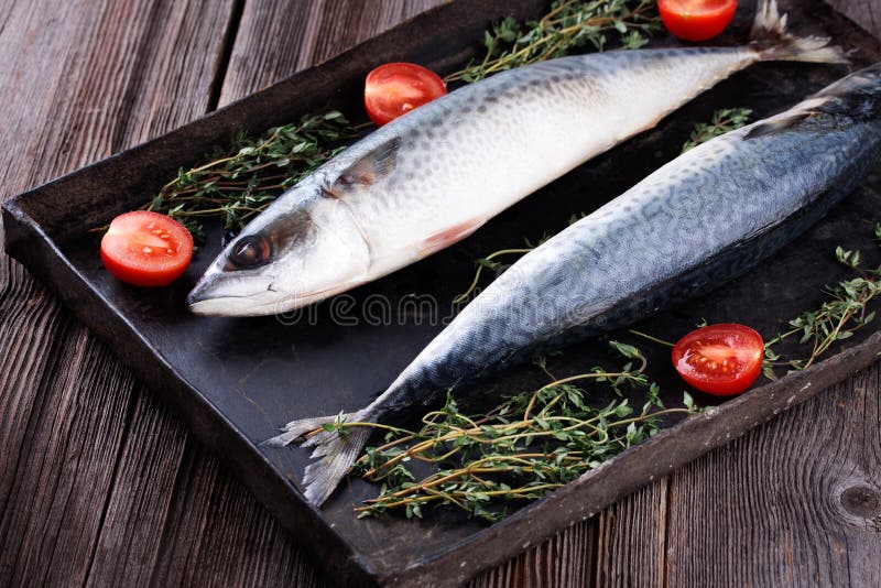 Raw Mackerel on Old Black Metallic Oven Tray Stock Image Image of