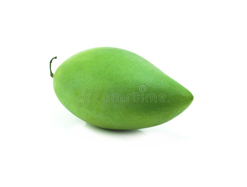 Raw Mango with Stem on White Stock Photo Image of diet, pickle 47888620