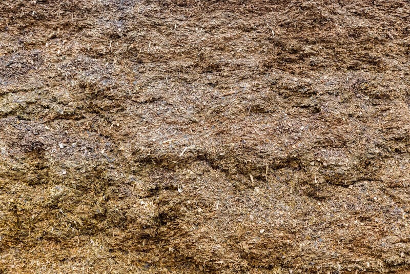 Raw Material Used for the Production of Biogas Stock Photo Image of