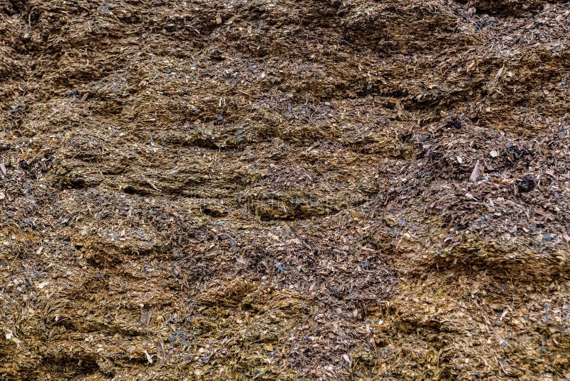 Raw Material Used for the Production of Biogas Stock Photo Image of