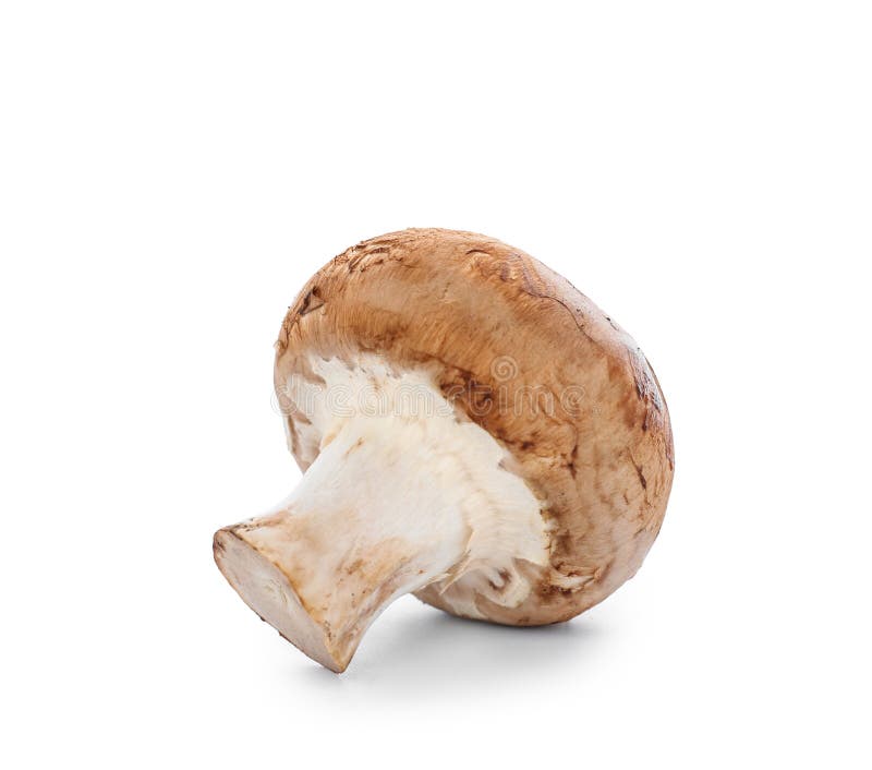Raw Mushroom On White Background Stock Photo Image of ripe, vegetarian 151359012