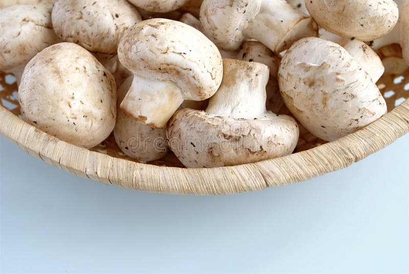 Raw mushrooms stock photo. Image of champignon, food 23783262
