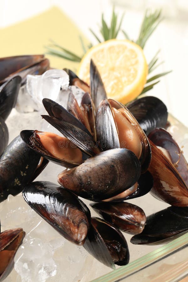 Raw edible mussels stock photo. Image of spicery, cooking 7710170