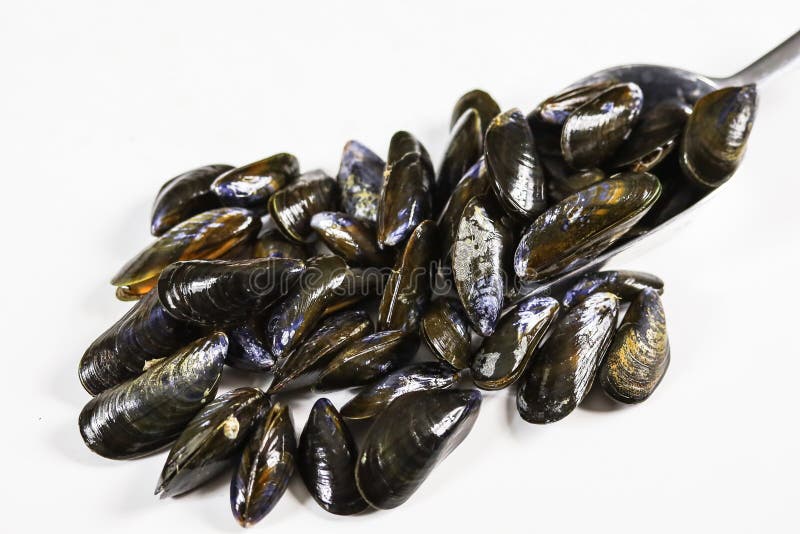5,506 Raw Mussels Shell Photos Free & RoyaltyFree Stock Photos from