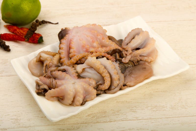 Raw octopus stock photo. Image of isolated, food, eating 112078188