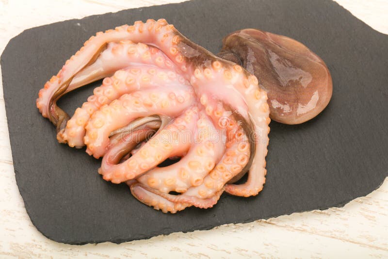 Raw octopus stock photo. Image of delicious, ingredient 121717372