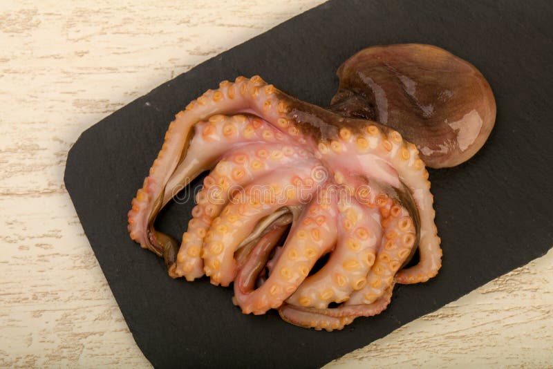 Raw octopus stock photo. Image of purple, eating, mollusk 111864854