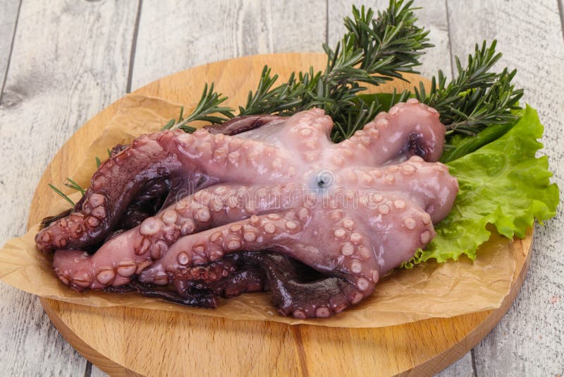 Raw Octopus Ready for Cooking Stock Image Image of color, mediterranean 184051021
