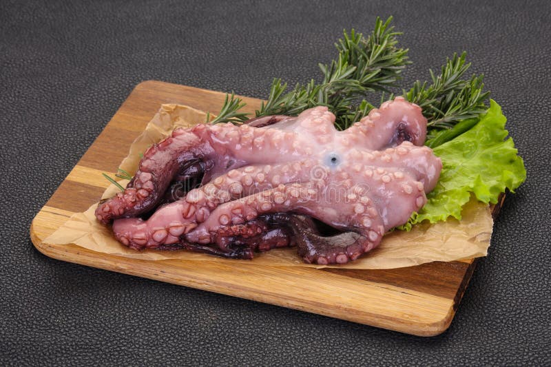Raw Octopus Ready for Cooking Stock Image Image of cooked, marine
