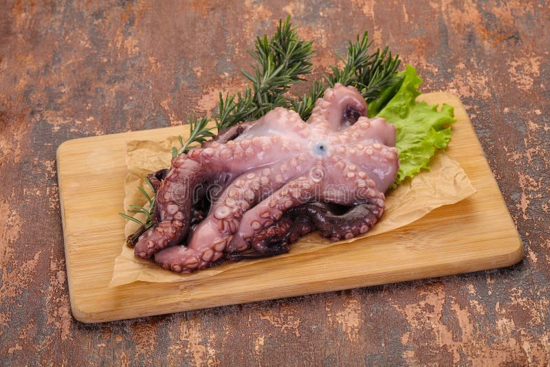 Raw Octopus Ready for Cooking Stock Photo Image of marine, shellfish