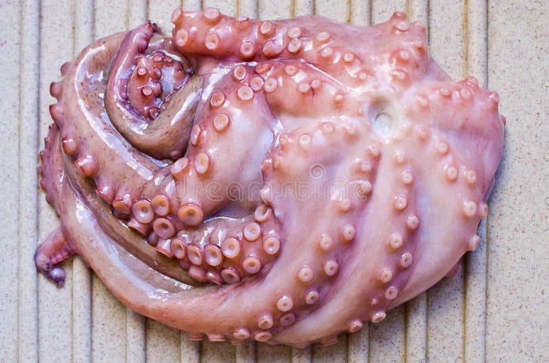 Raw octopus stock photo. Image of luxury, macro, freshness 56052932